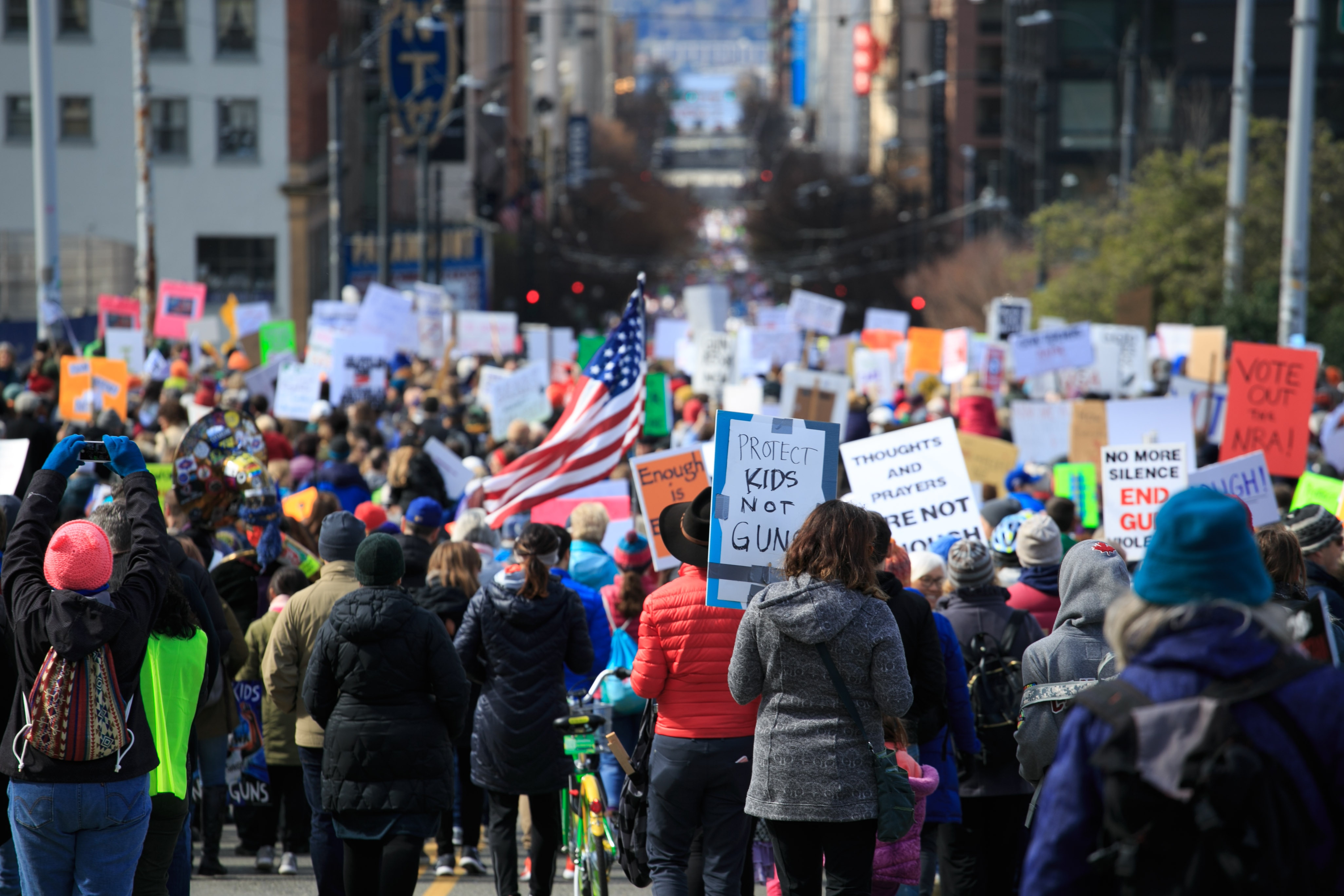 Crowd of protesters